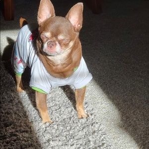 Trade for @buttercup555 only